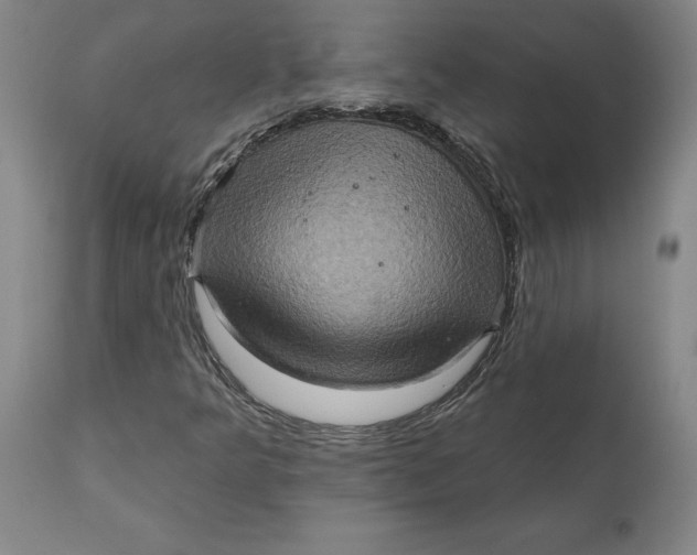 X0000110681349200907021900