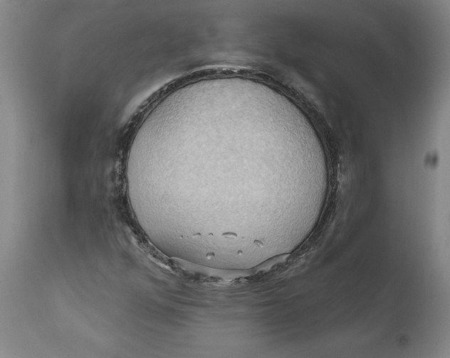 X0000110681352200907021900