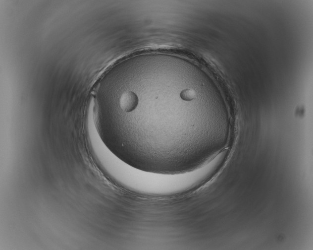 X0000110681353200907021900