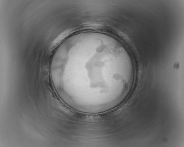 X0000110681354200907021900