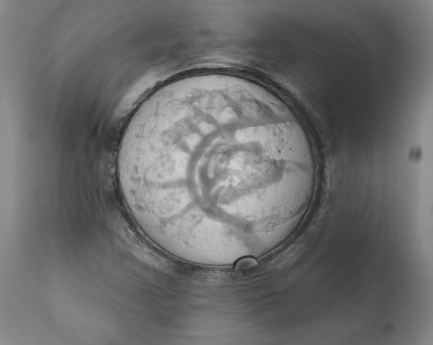 X0000110681355200907021900