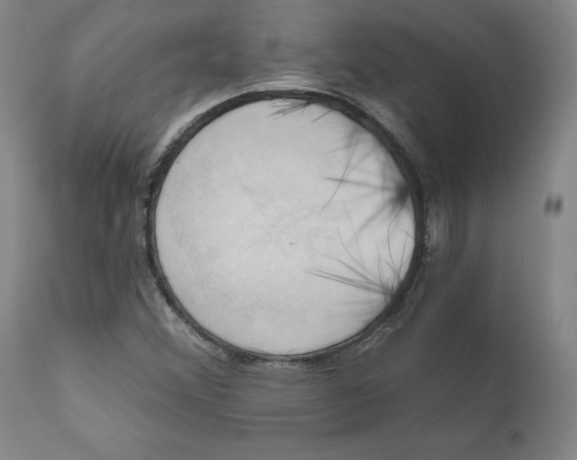 X0000110681356200907021900