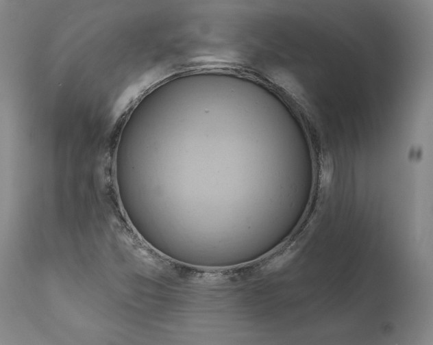 X0000110681357200907021900