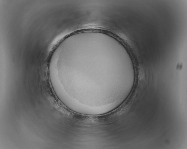 X0000110681358200907021900