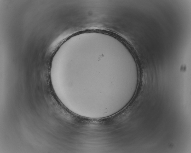 X0000110681359200907021900