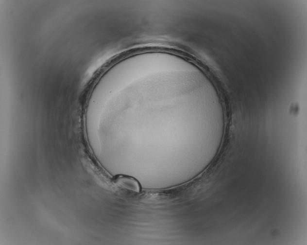 X0000110681360200907021900