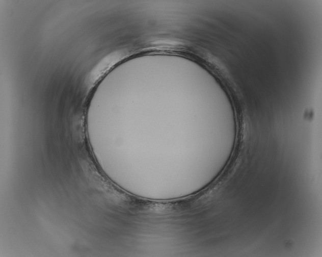 X0000110681362200907021900