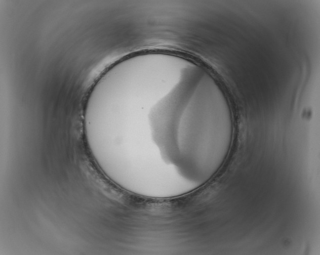 X0000110681363200907021900