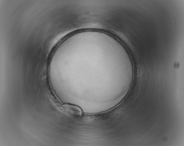 X0000110681364200907021900