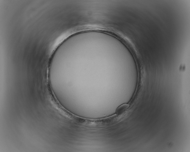 X0000110681365200907021900