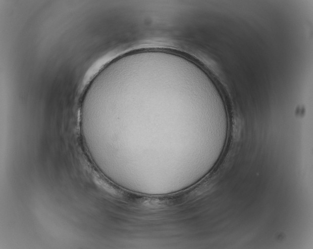 X0000110681366200907021900