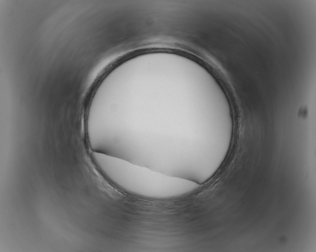 X0000110681368200907021900