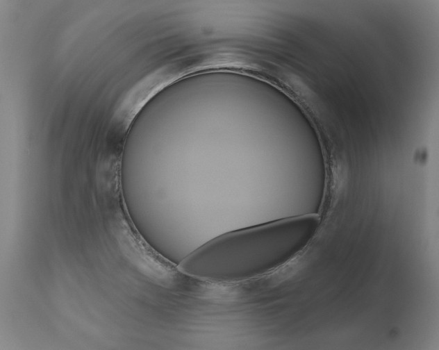 X0000110681369200907021900