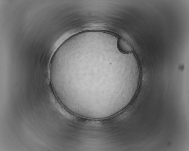 X0000110681370200907021900