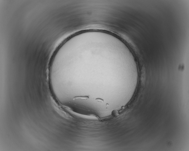 X0000110681372200907021900