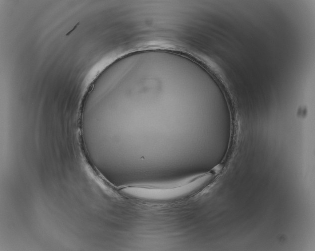 X0000110681373200907021900