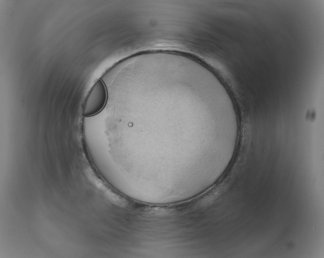 X0000110681374200907021900