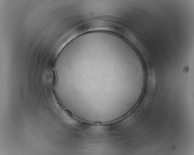 X0000110681377200907021900