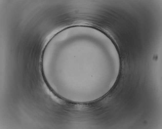 X0000110681379200907021900