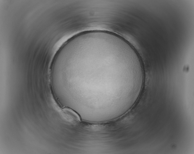 X0000110681380200907021900