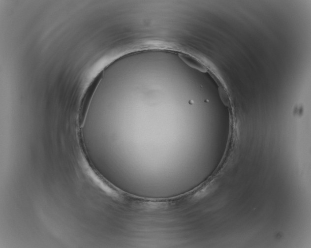 X0000110681381200907021900