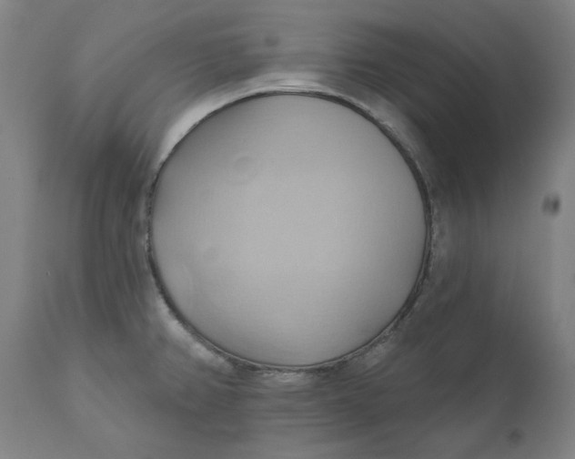 X0000110681382200907021900