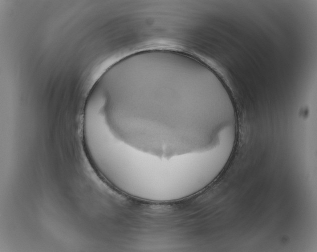 X0000110681383200907021900