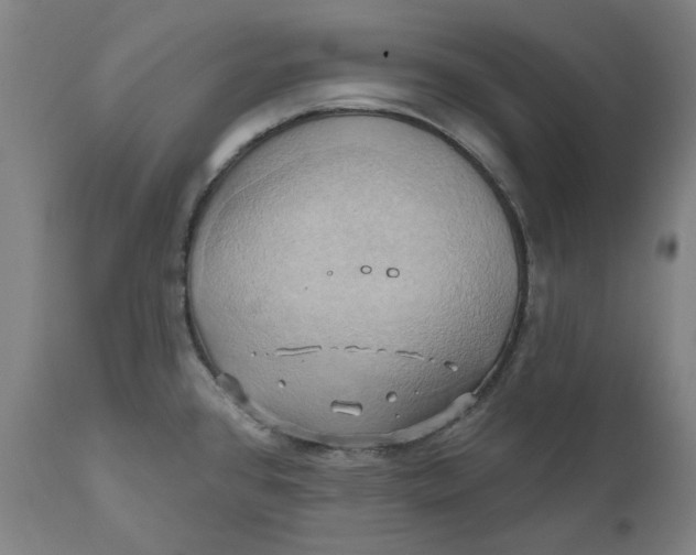 X0000110681384200907021900