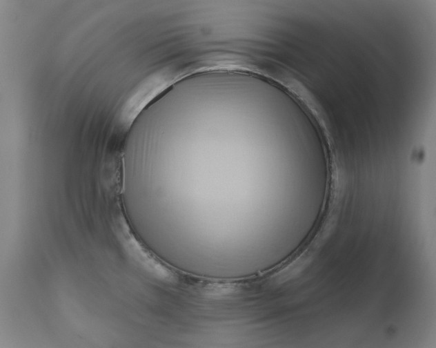 X0000110681385200907021900