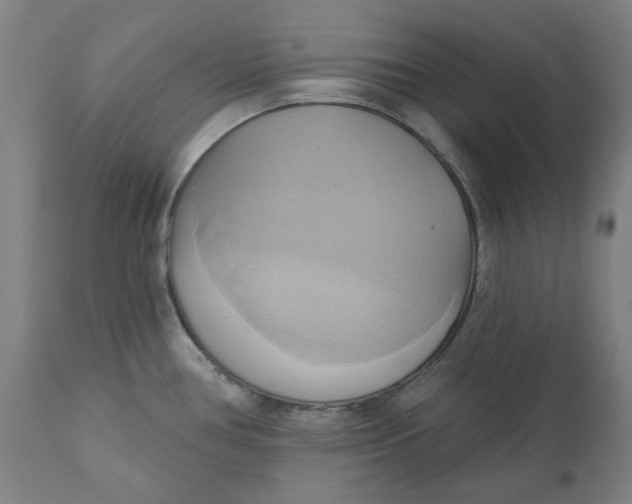 X0000110681386200907021859