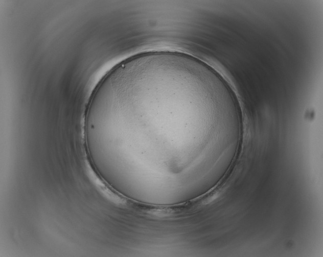 X0000110681388200907021859