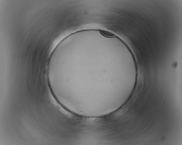 X0000110681390200907021859