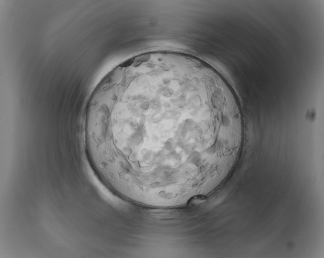 X0000110681391200907021859