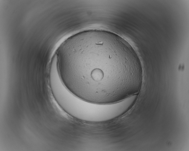 X0000110681392200907021859