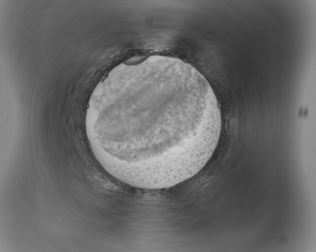 X0000110681393200907021858