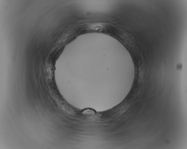 X0000110681394200907021858