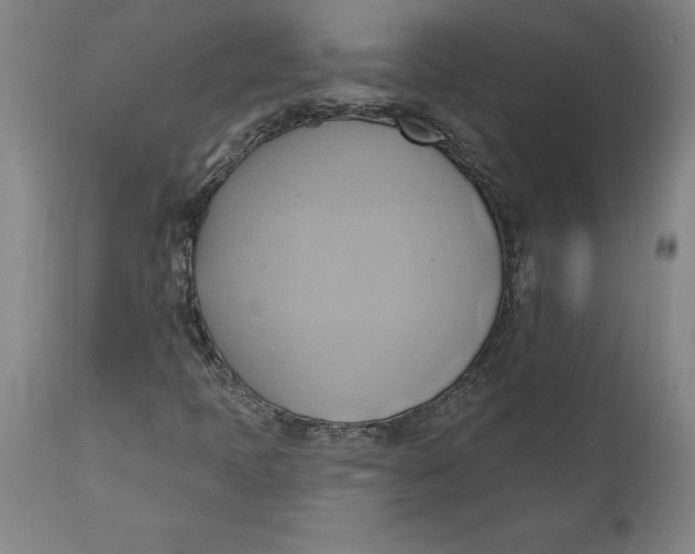 X0000110681397200907021858