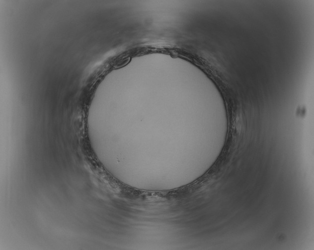 X0000110681398200907021858