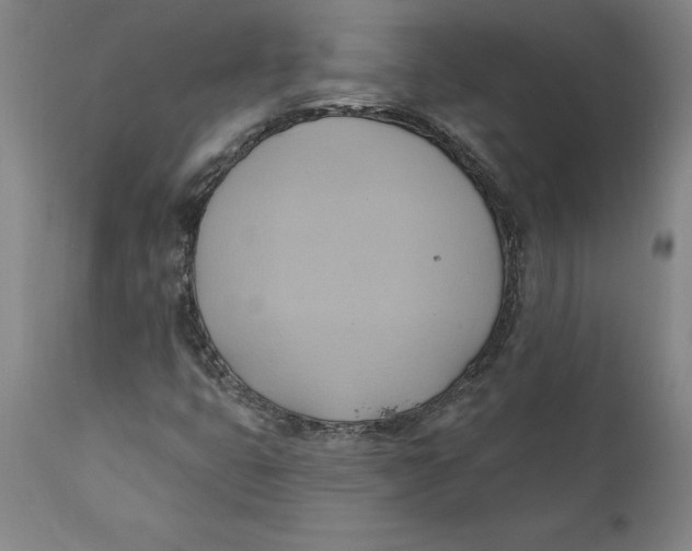 X0000110681399200907021858