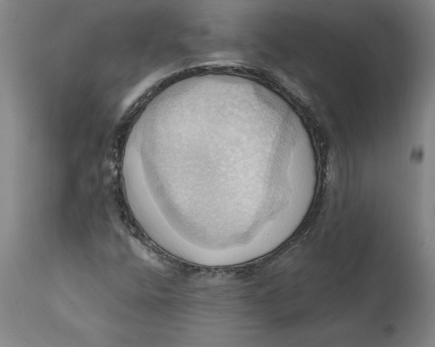 X0000110681400200907021859