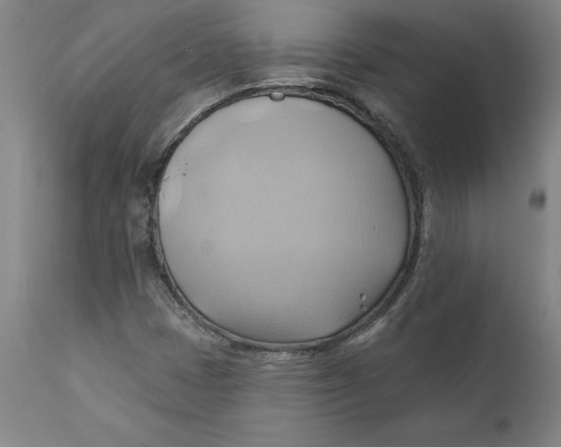 X0000110681401200907021859