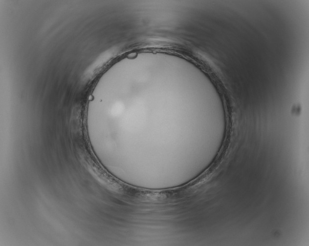 X0000110681403200907021859