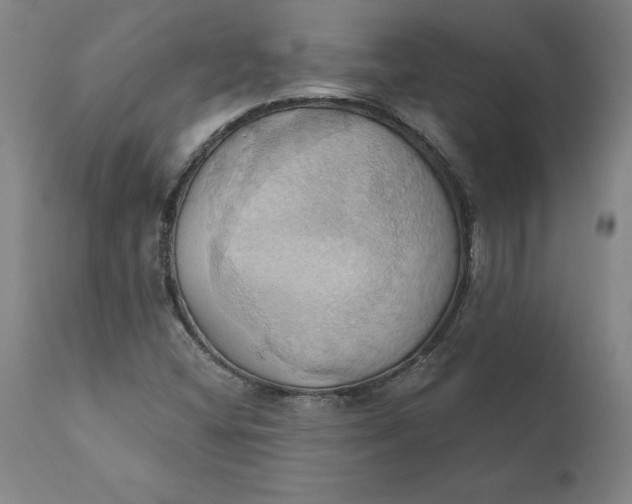 X0000110681404200907021859