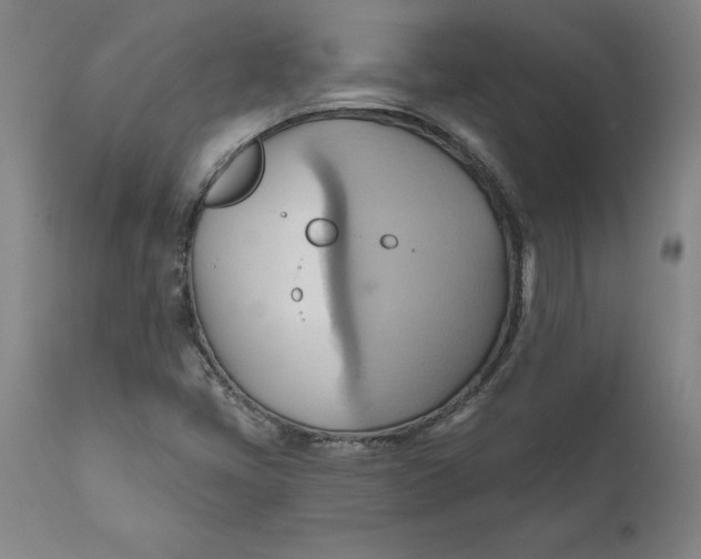 X0000110681405200907021859