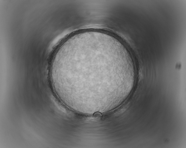 X0000110681406200907021859