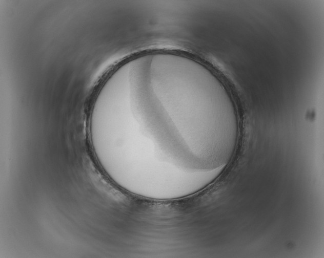 X0000110681408200907021859