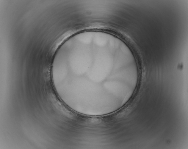 X0000110681409200907021859