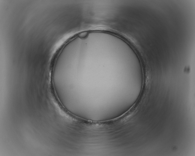 X0000110681414200907021859