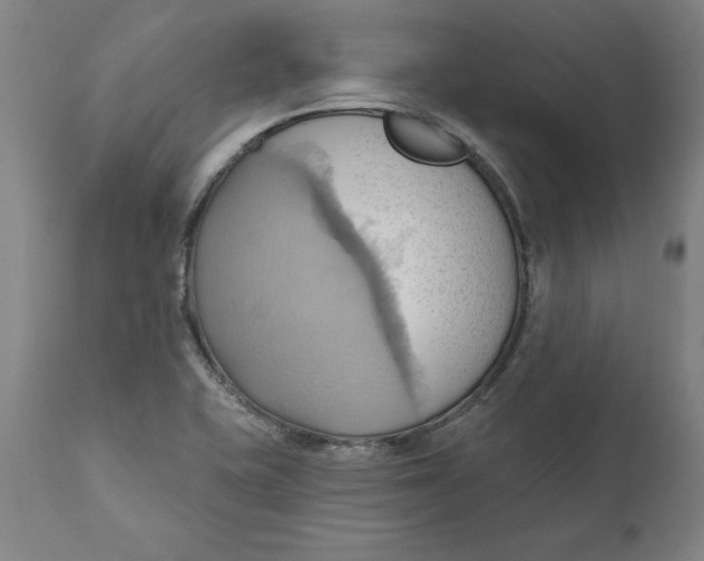 X0000110681415200907021859