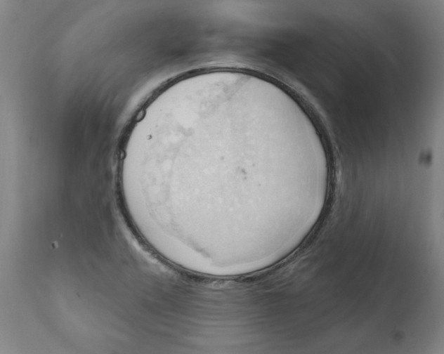 X0000110681416200907021859